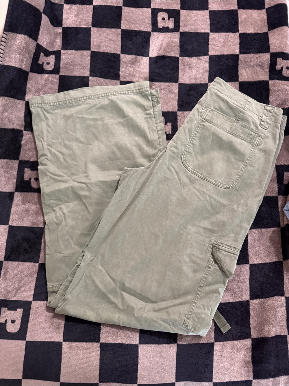 American Eagle Outfitters Wide-Leg Cargo Pants in Green
